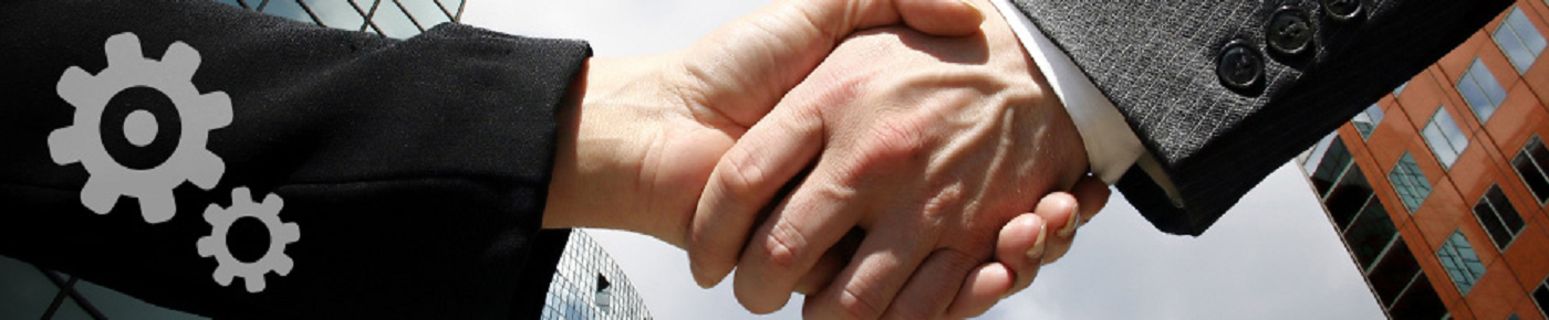 DEVELOPING STRATEGIC PARTNERSHIPS